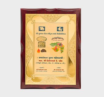 nilesh_patel_NK_cott_seed