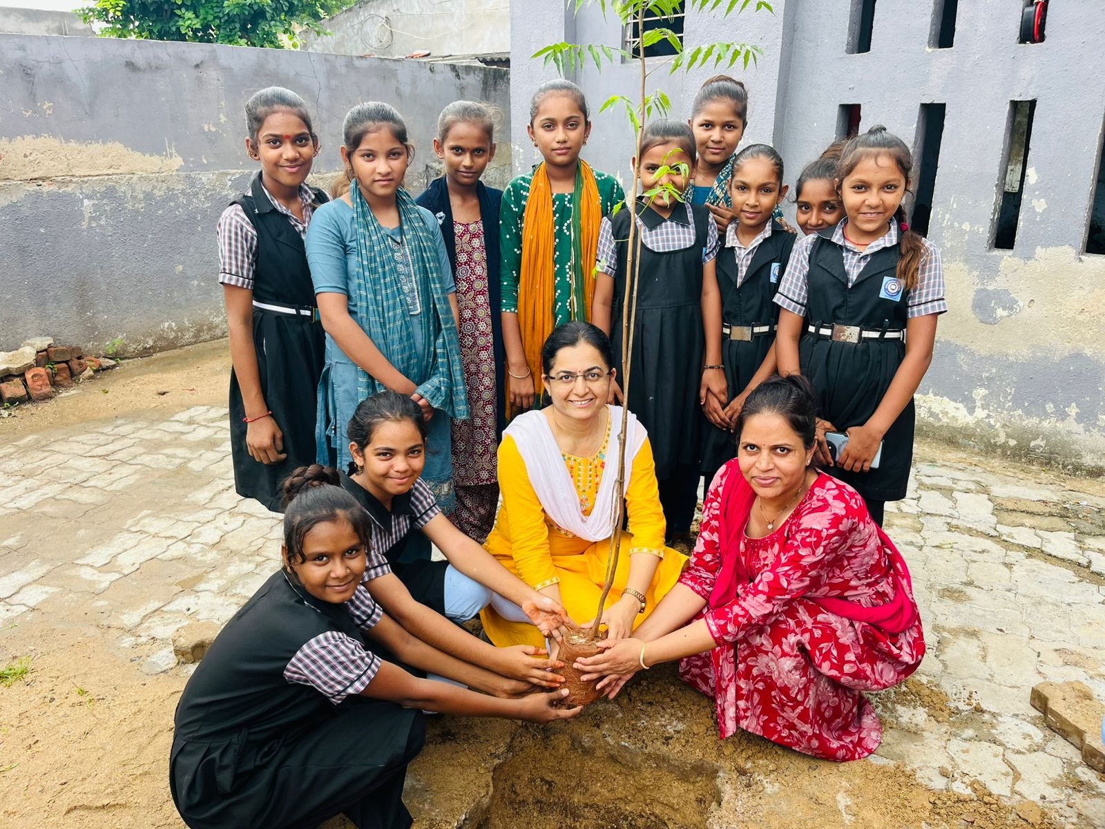 Tree Plantation